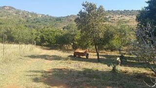 Commercial Property for Sale in Boekenhoutfontein A H North West